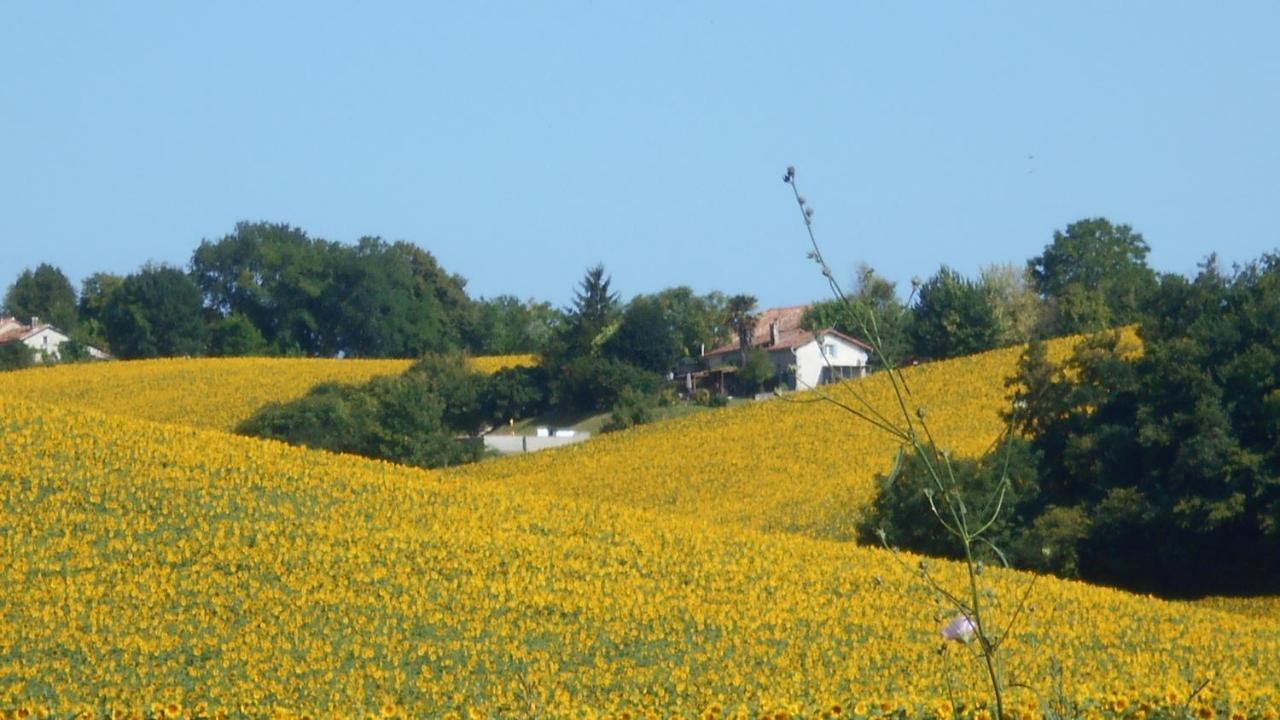 La Tranquillite, Le Repos Villa Nanteuil-Auriac-de-Bourzac Buitenkant foto
